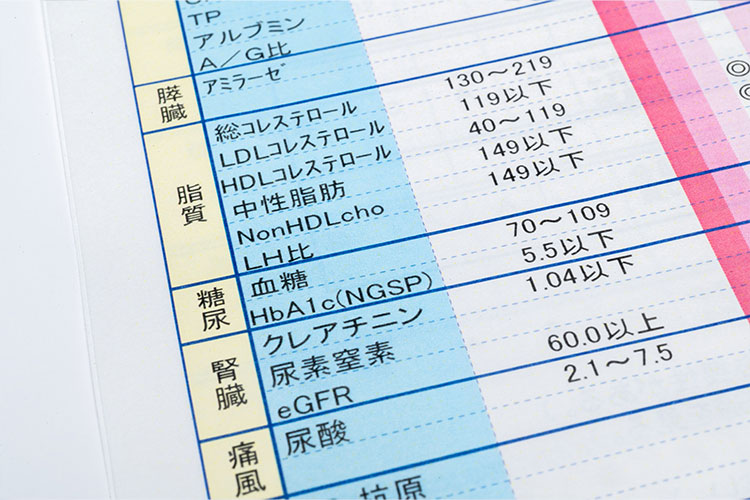 脂質異常症のイメージ